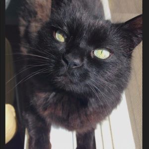 Meet your Posher, Olivia